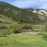 montana hunting land for sale middle fork of sixteen mile creek ranch