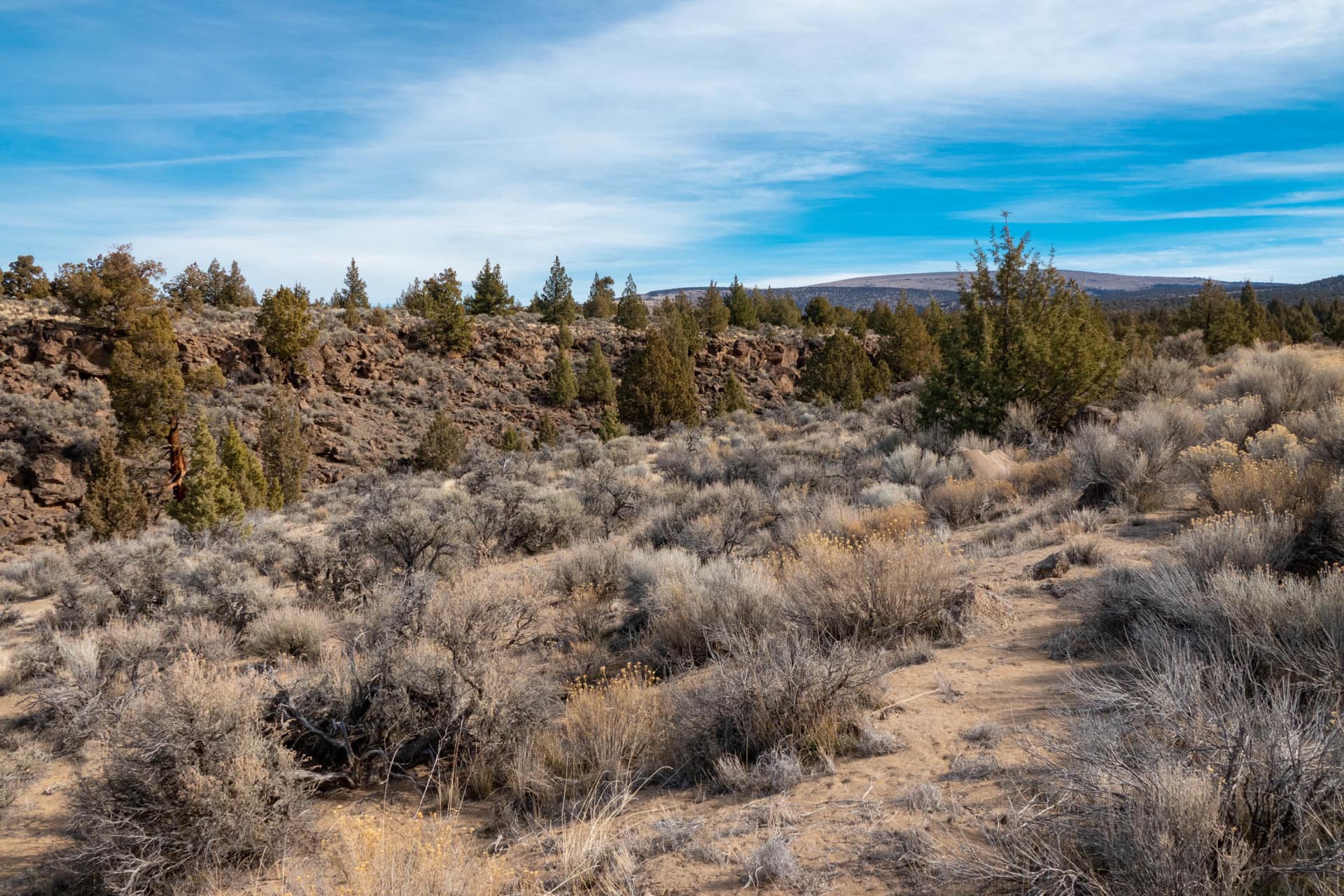 native landscape oregon millican desert ranch