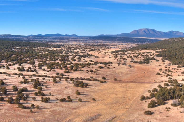 New Mexico Ranch Land Properties For Sale Fay Ranches