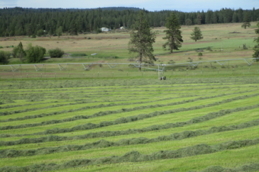 agricultural production property for sale washington stillwater ranch