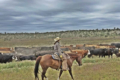 Joette Schalla Colorado Associate Broker Ranch Land Cattle Properties