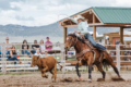 Joette Schalla Colorado Associate Broker Ranch Land Real Estate Rodeo