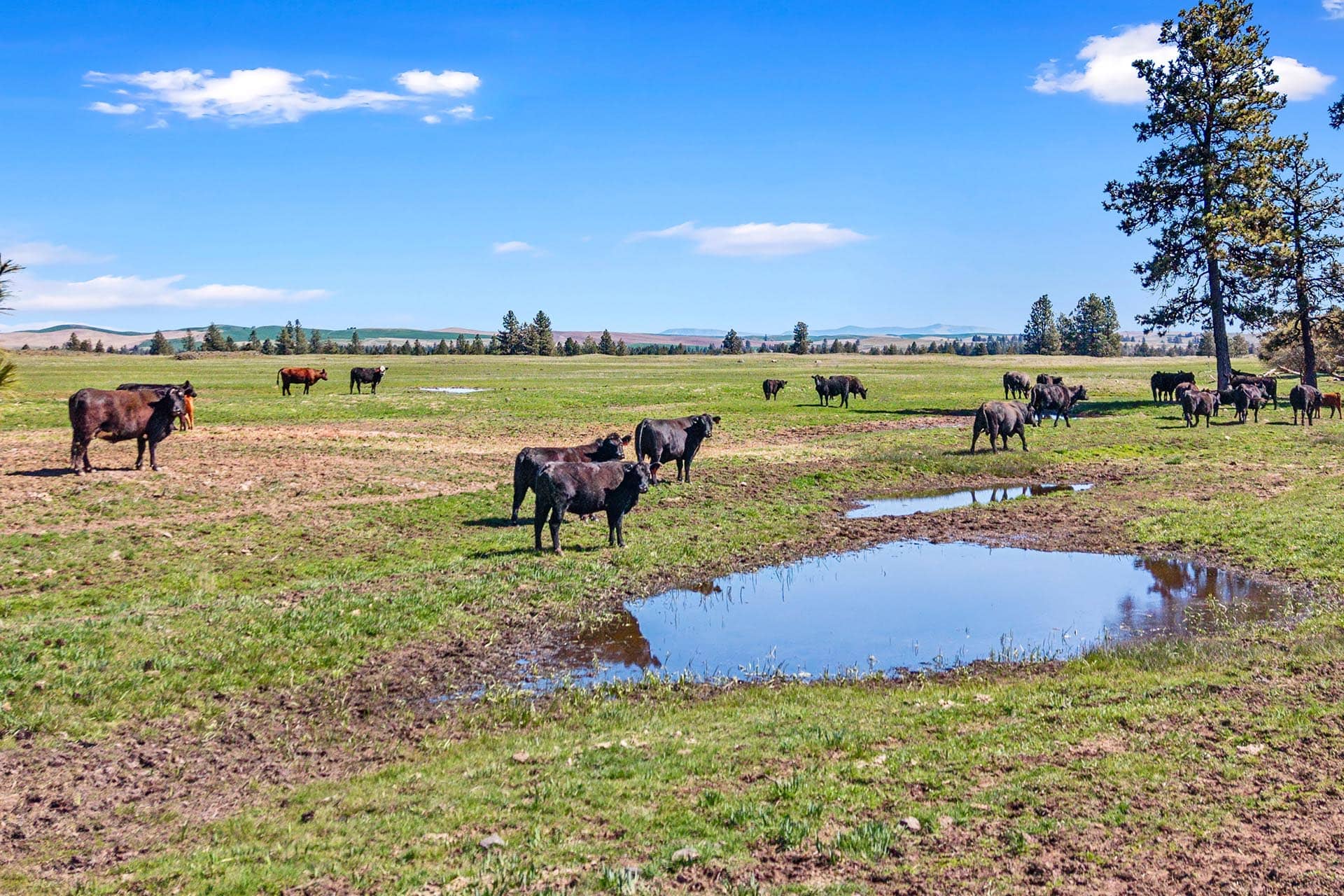 private shooting range ranch washington stillwater ranch