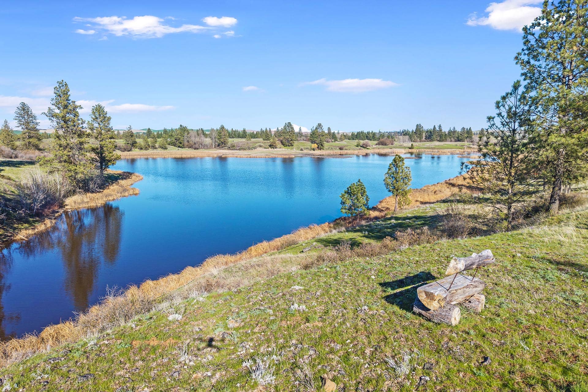 turnkey cattle ranch for sale washington stillwater ranch