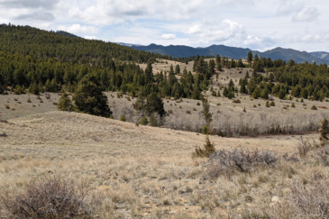 Timber property for sale Montana Stagecoach road ranch