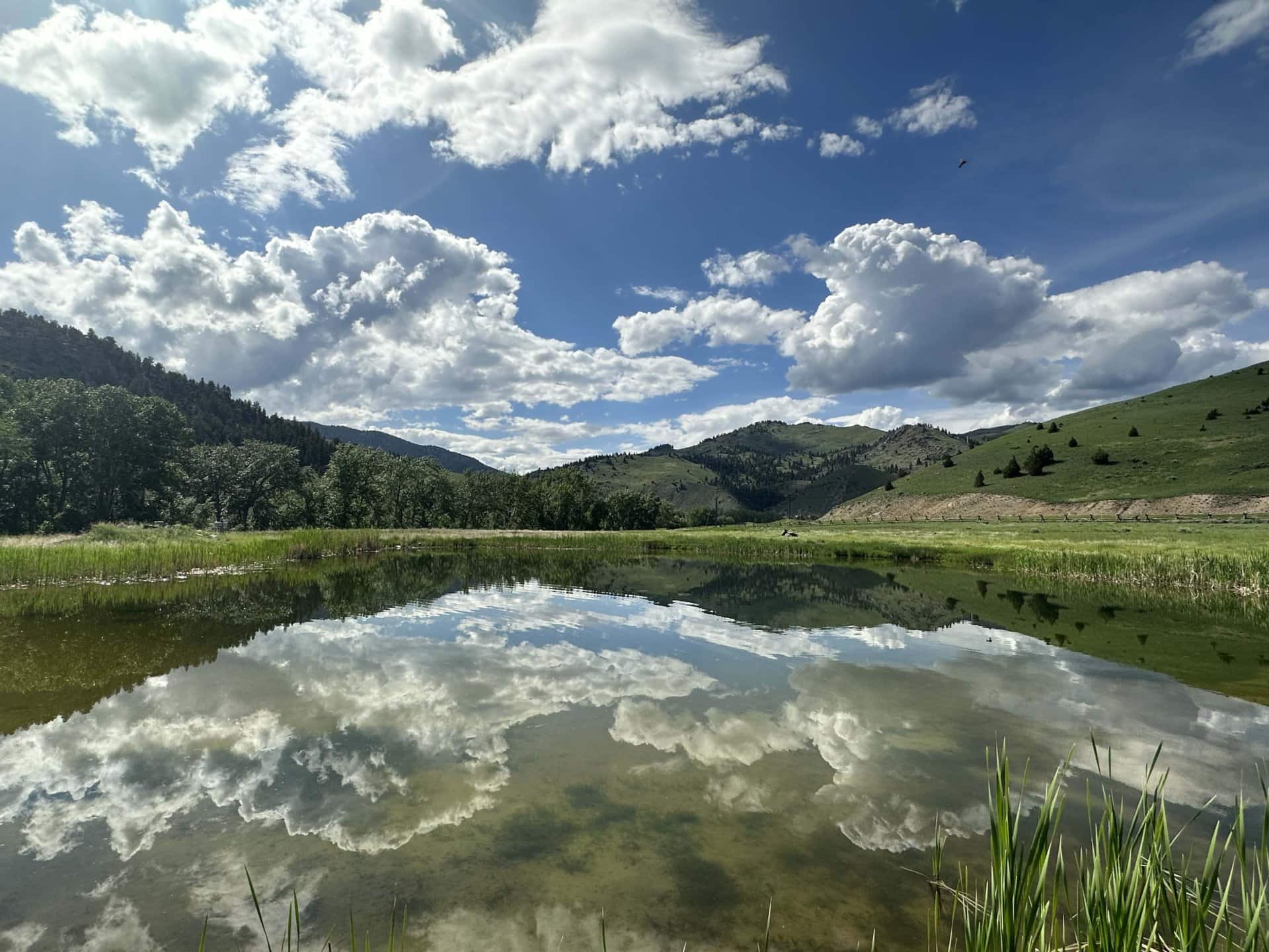 clouds reflected in pond montana big hole riverbend