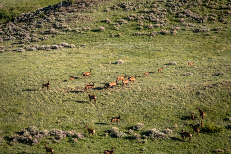 Bozeman Pass Ranch, Tract 1 | Livingston Montana | Fay Ranches