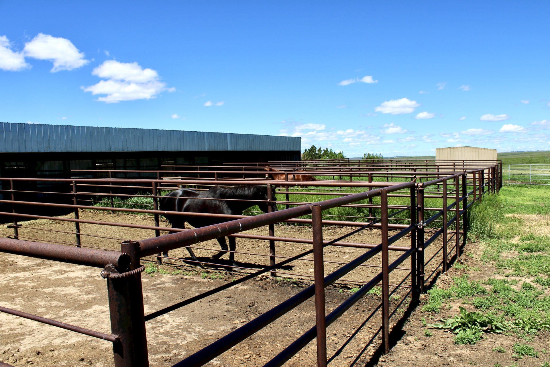 equine facilities wyoming ef ranch