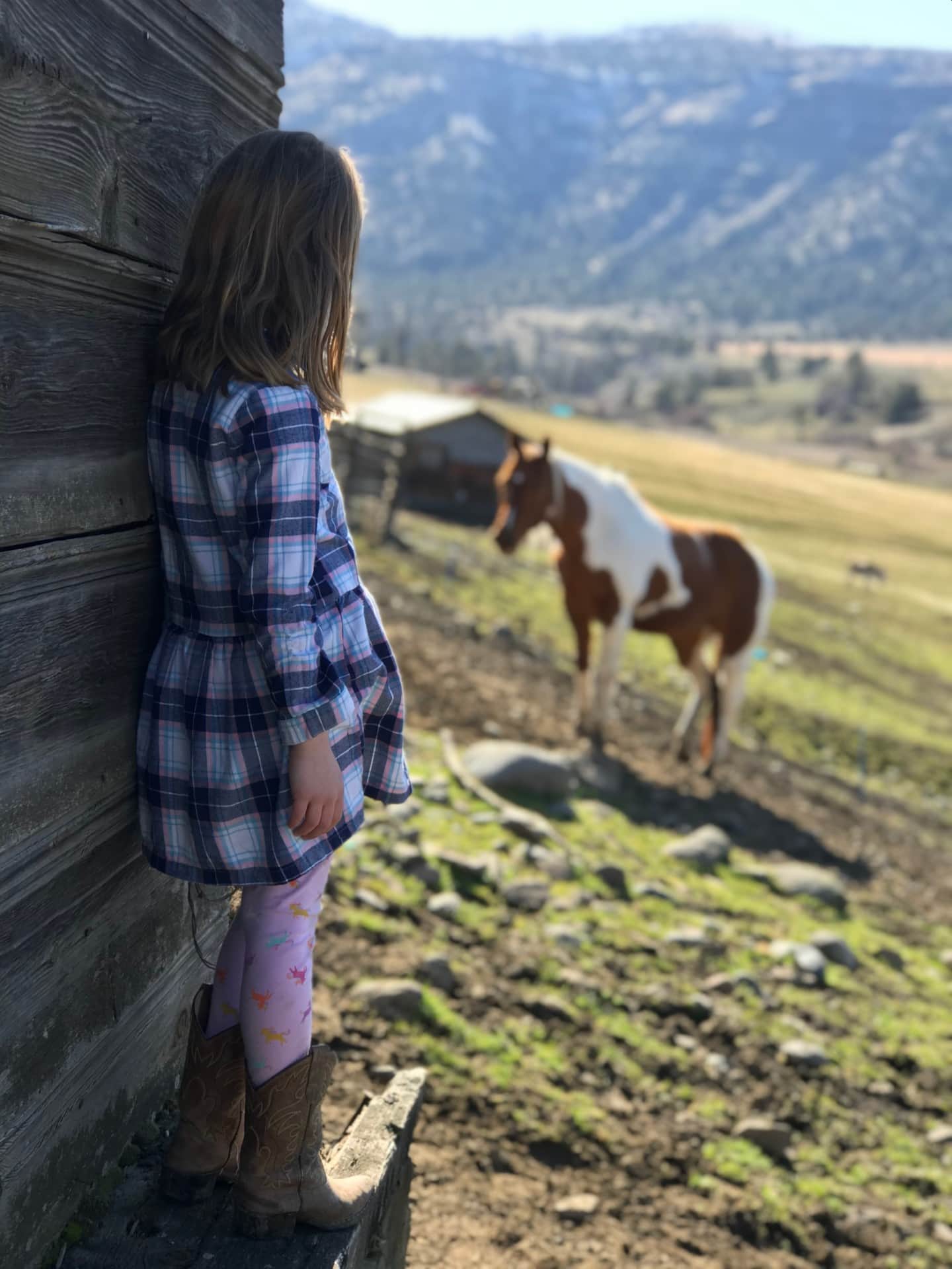 girl and horse oregon campbell crossing ranch north fork john day river