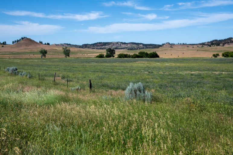 Four Bar Five Ranch | Biddle Montana |Fay Ranches