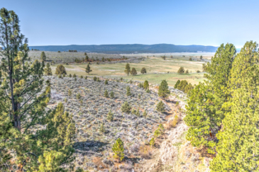 hunting property for sale oregon deming ranch