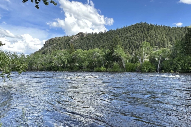 Branif Scott Fay Ranches