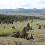 montana property for sale Stagecoach Road Ranch
