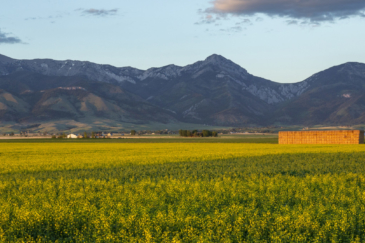 montana property for sale spring family farm