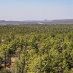 new mexico property for sale santa fe trail ranch