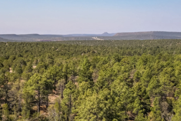 new mexico property for sale santa fe trail ranch