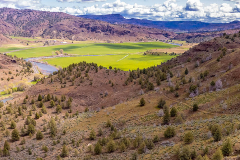 The Lamb Ranch Drewsey Oregon Fay Ranches
