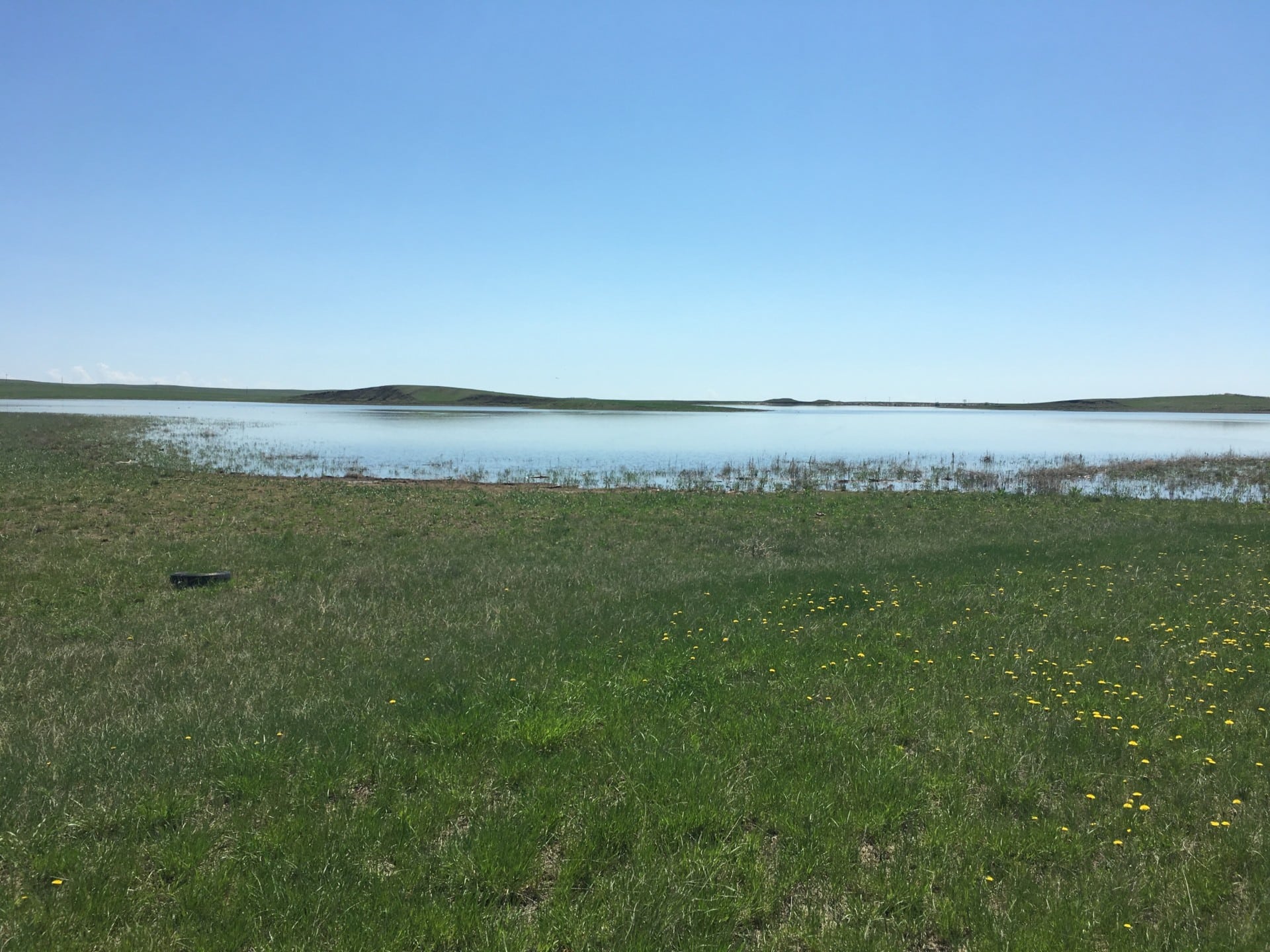 pond south dakota northern plains grassland and cattle ranch