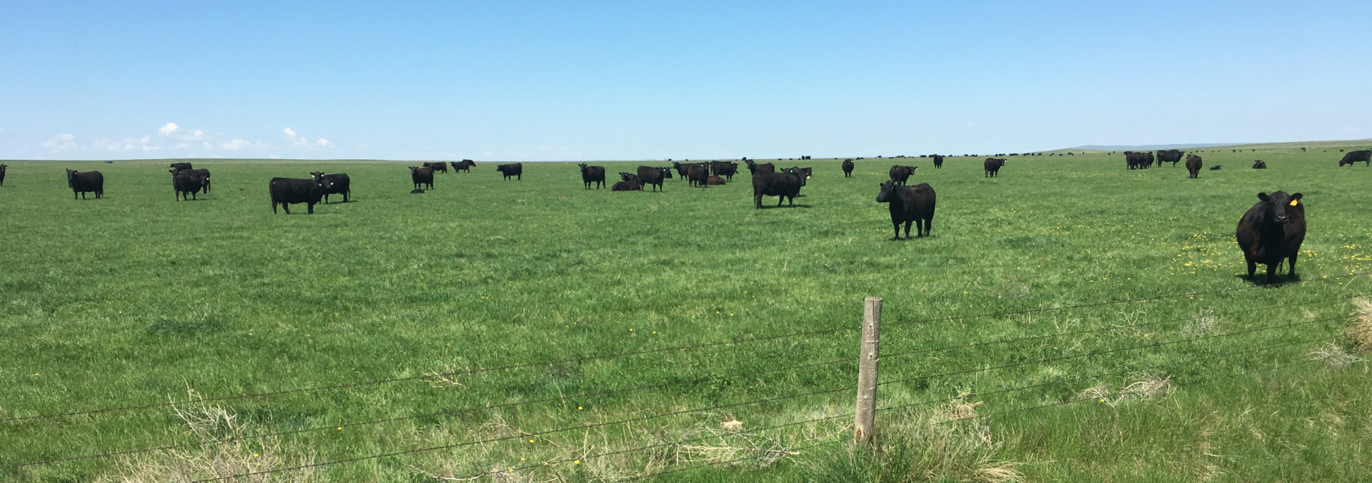 south dakota property for sale northern plains grassland and cattle ranch