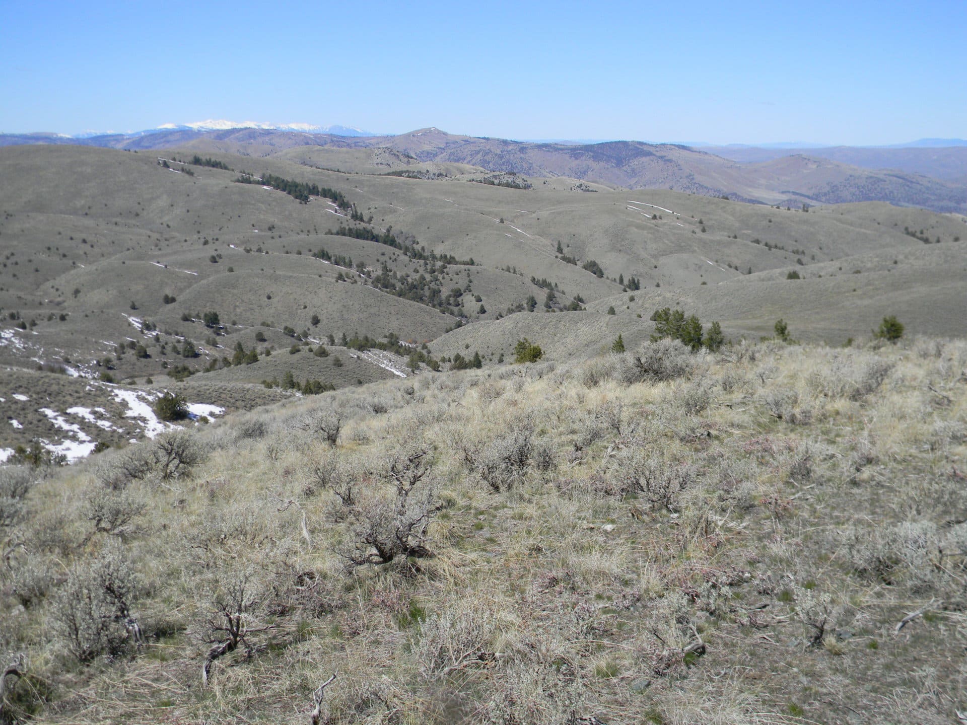 North oregon lost basin ranch
