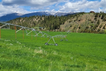 agricultural production property for sale montana schock ranch on the north fork