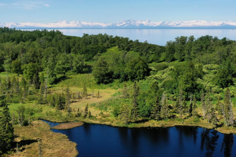 Alaska Properties For Sale Land Wilderness Sporting Pursuits Fay