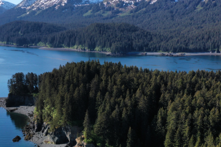 Alaska Properties For Sale Land Wilderness Sporting Pursuits Fay