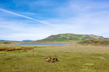 big game hunting land for sale Colorado Brumley Aspen Waters Ranch