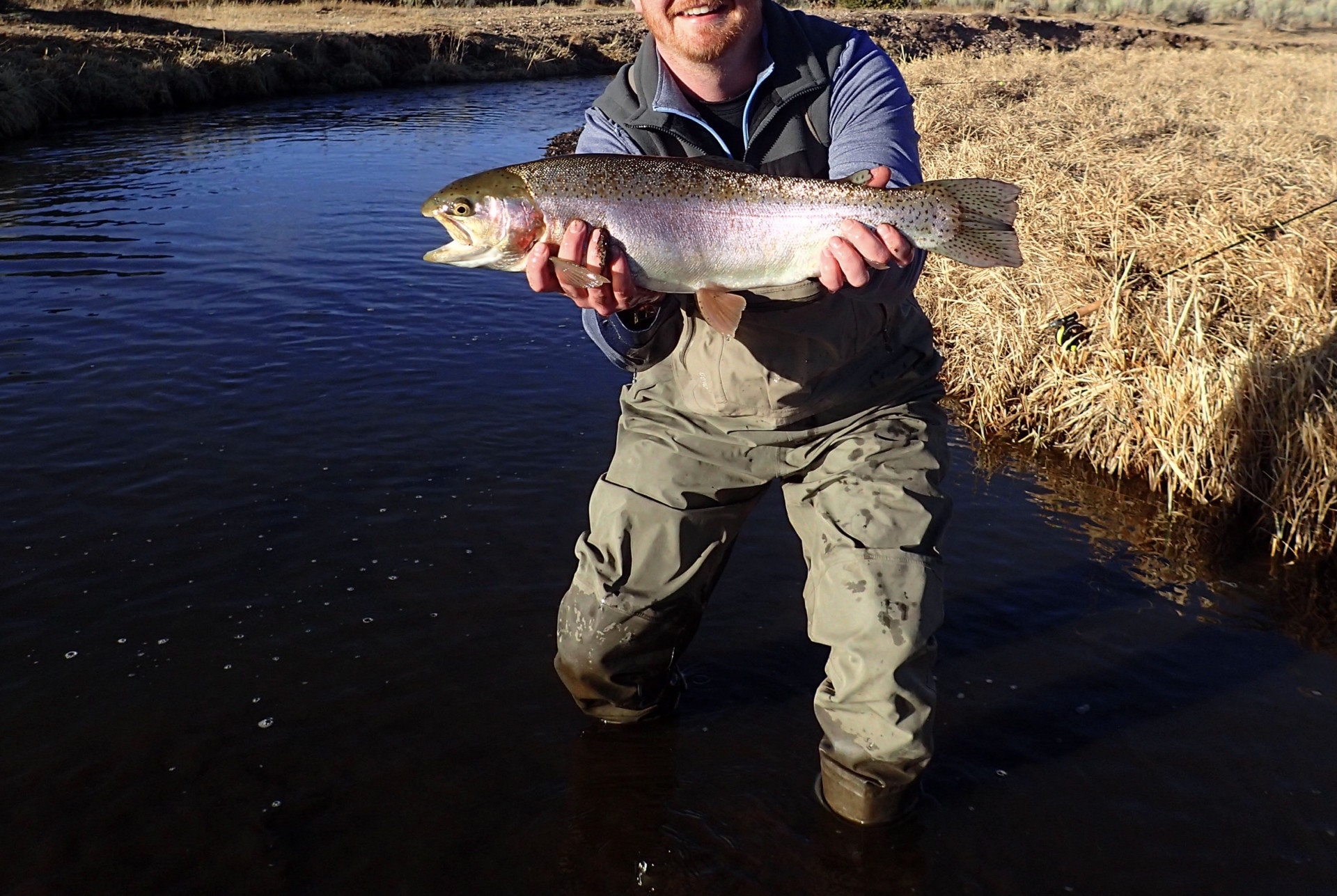 brown trout colorado culebra creek anglers retreat