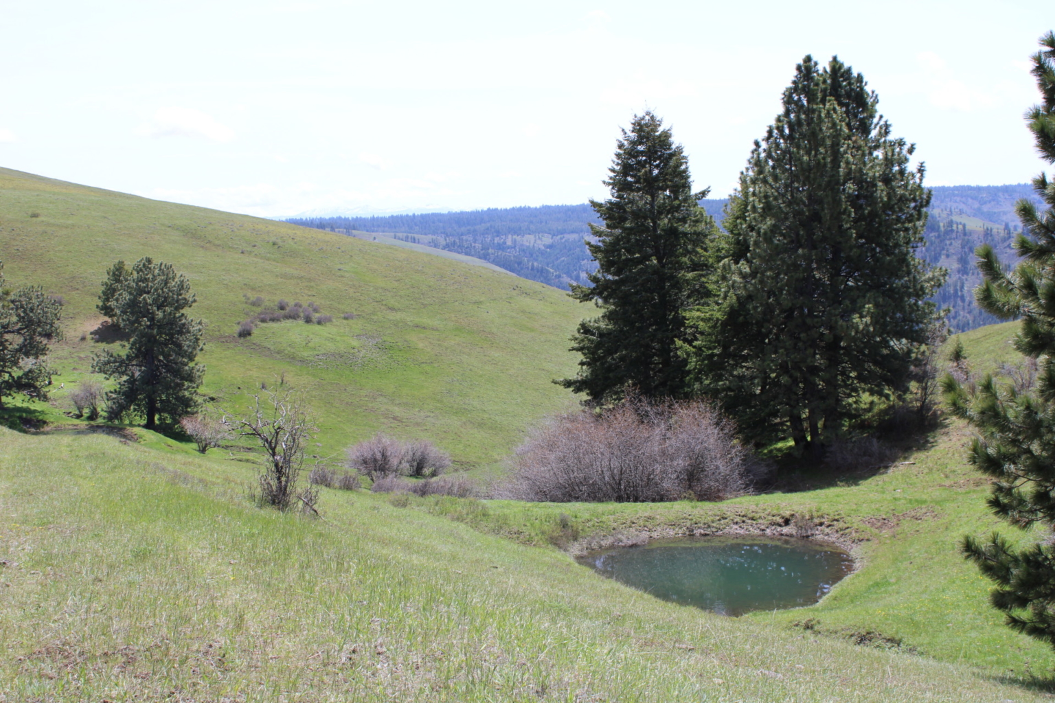 Birch Creek Ranch | Pilot Rock Oregon | Fay Ranches