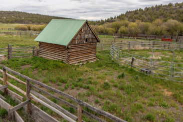 cattle property for sale oregon pitcher ranch