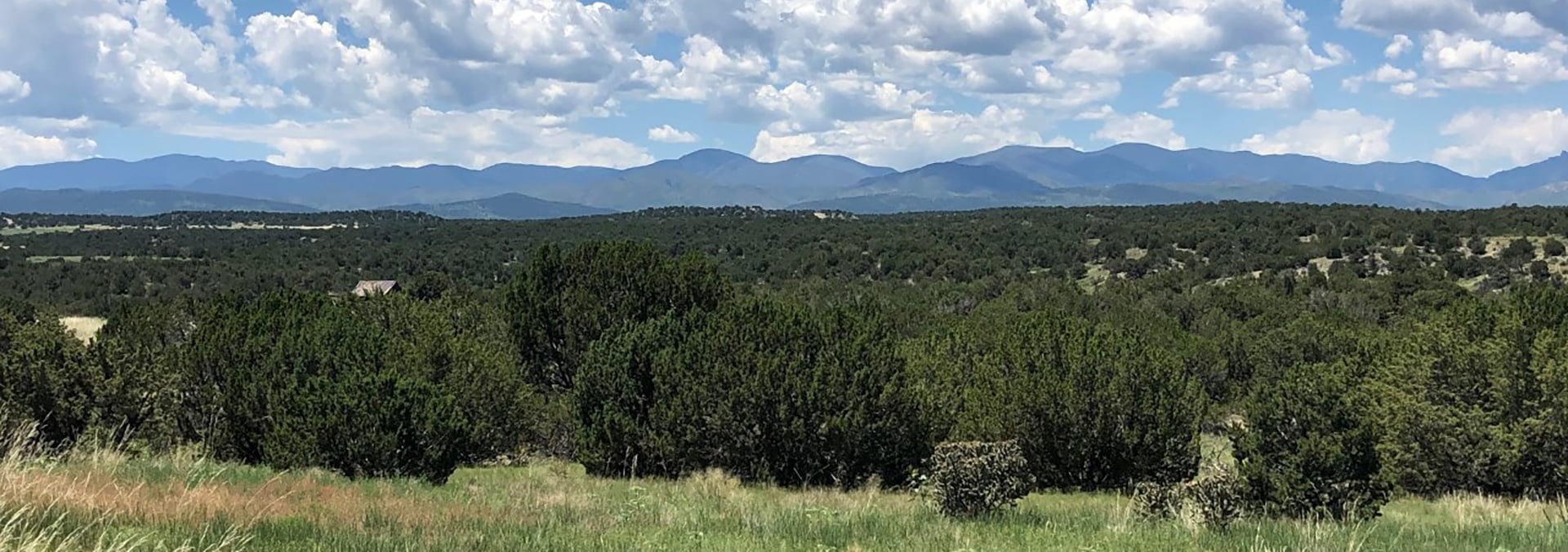 colorado ranch for sale Stone Creek Ranch