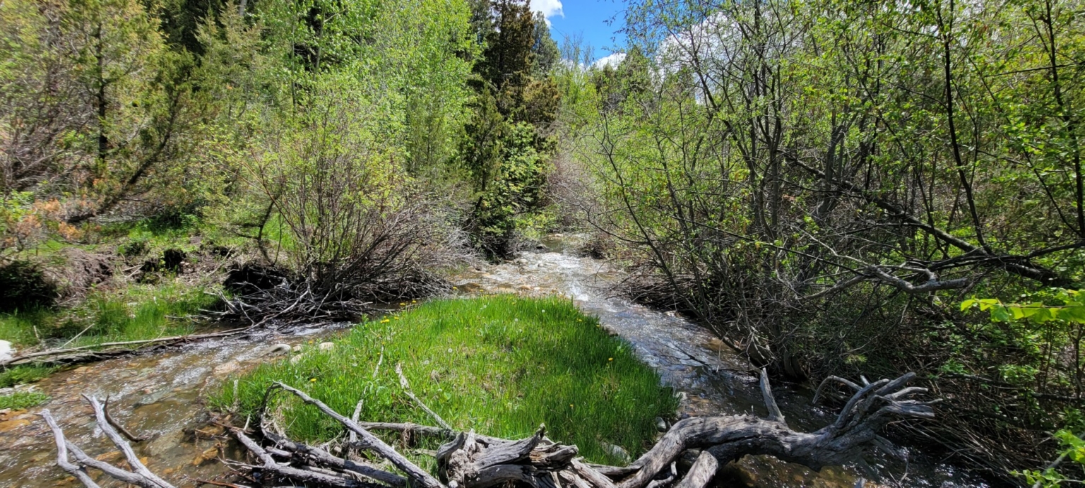 Schock Ranch on the North Fork Townsend Montana Fay Ranches