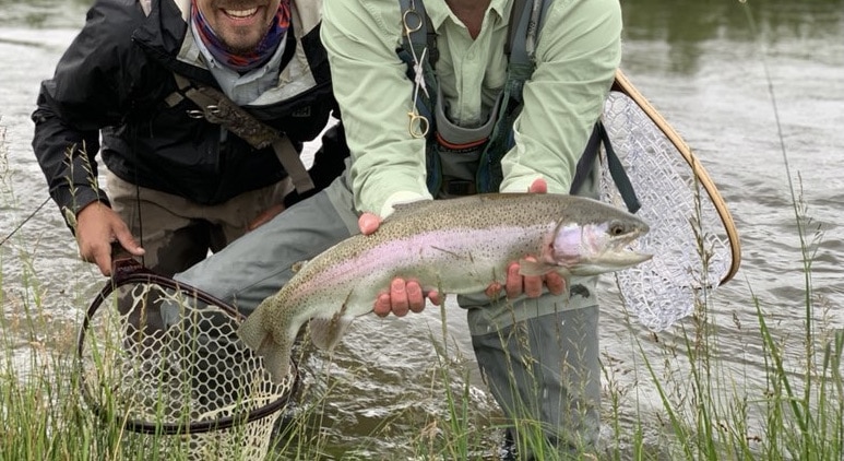 cutbow trout colorado culebra creek angler's retreat