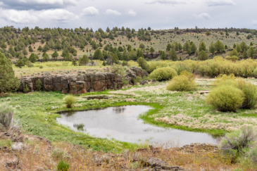 fly fishing property for sale oregon pitcher