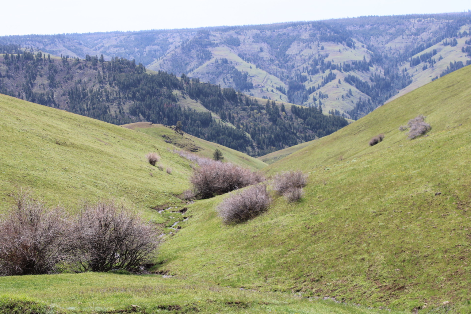 Birch Creek Ranch | Pilot Rock Oregon | Fay Ranches