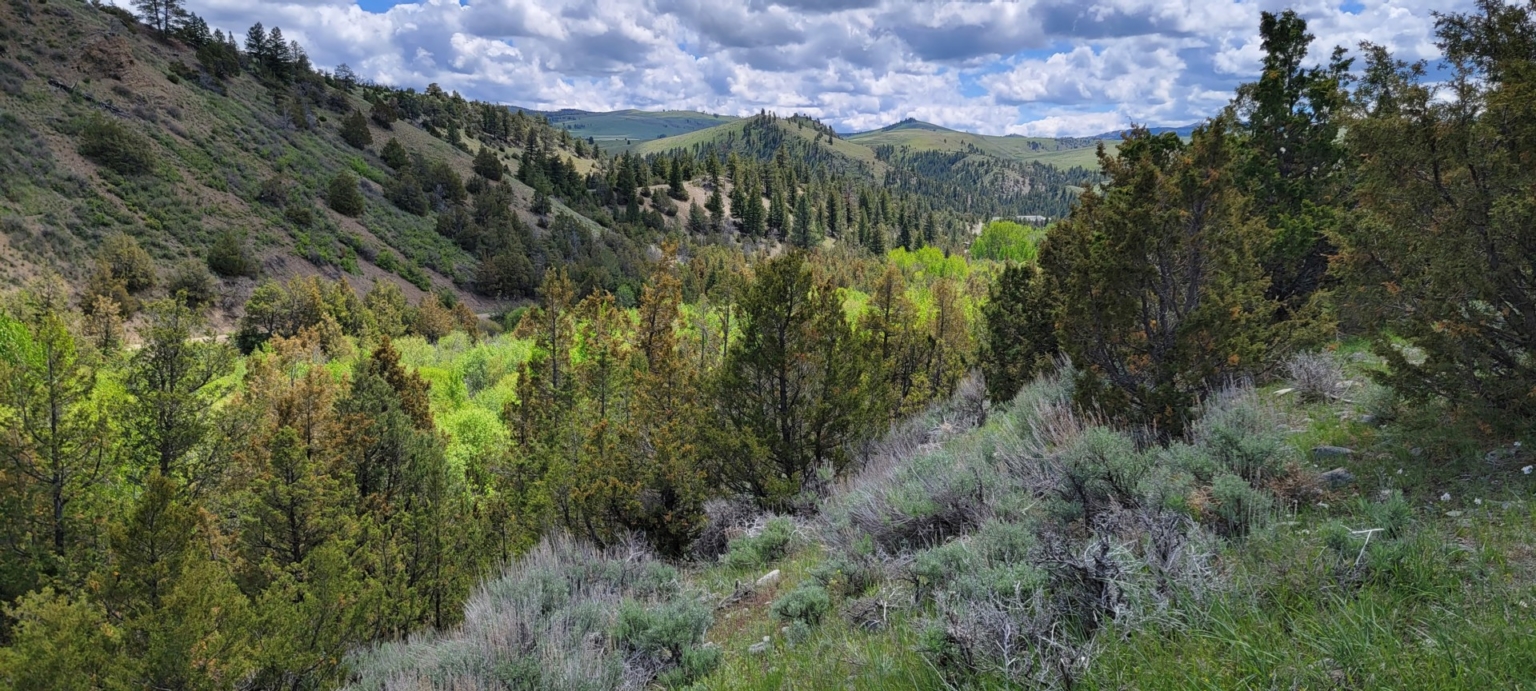 Schock Ranch on the North Fork Townsend Montana Fay Ranches