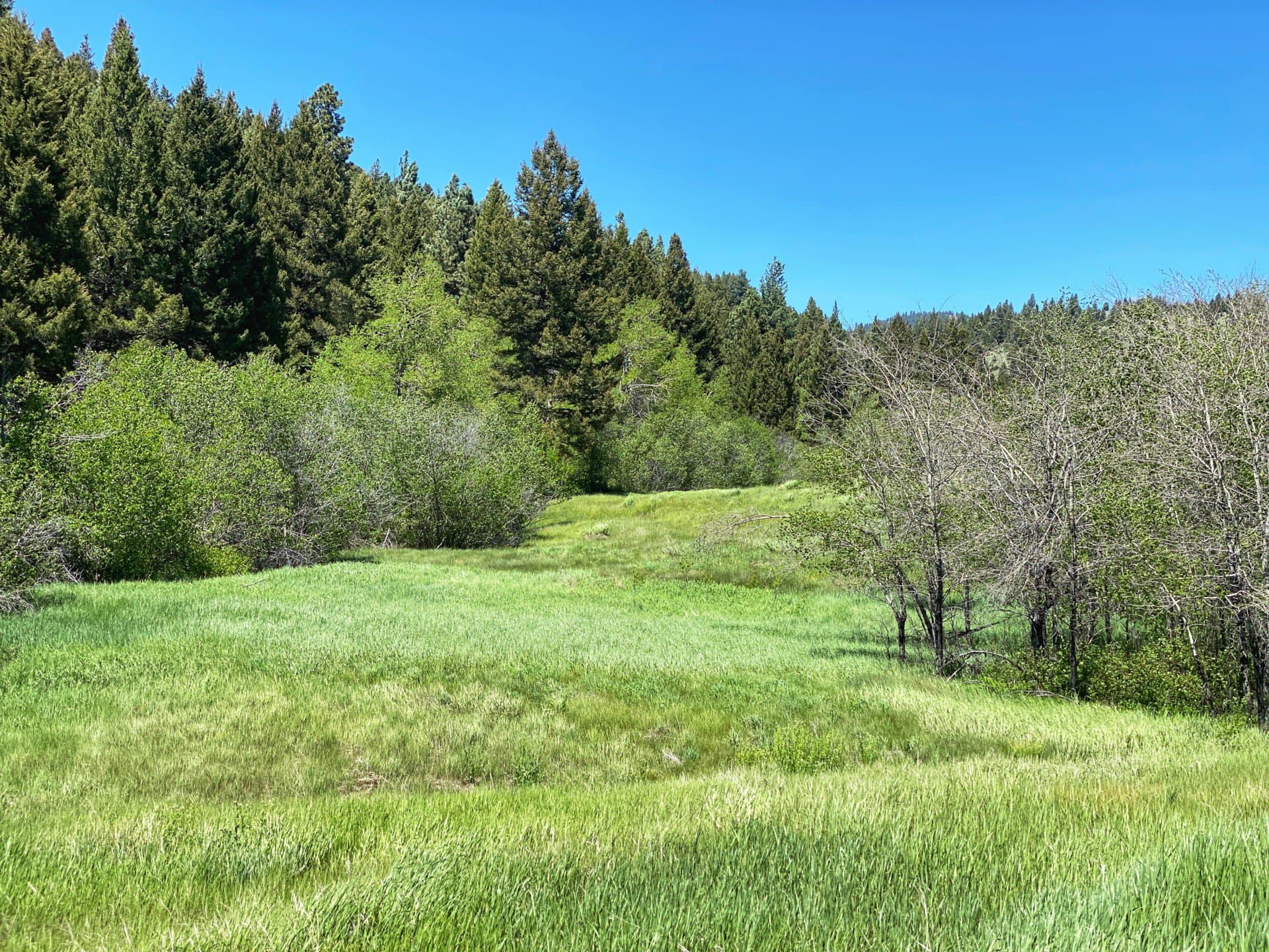 meadow carten creek ranch montana