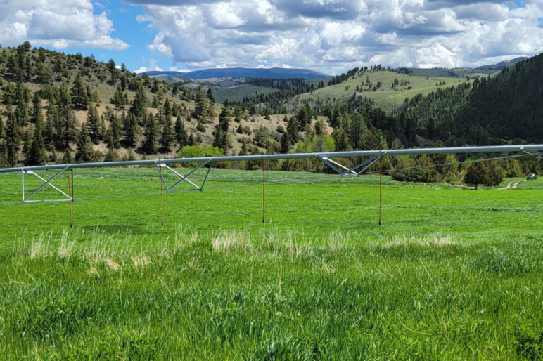 Arrow Ranch Large Big Hole Valley Ranch Fay Ranches