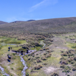 nevada cattle ranch for sale smith creek ranch