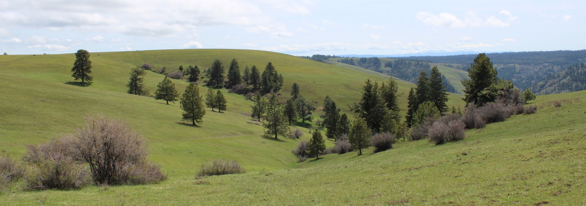 oregon property for sale birch creek ranch