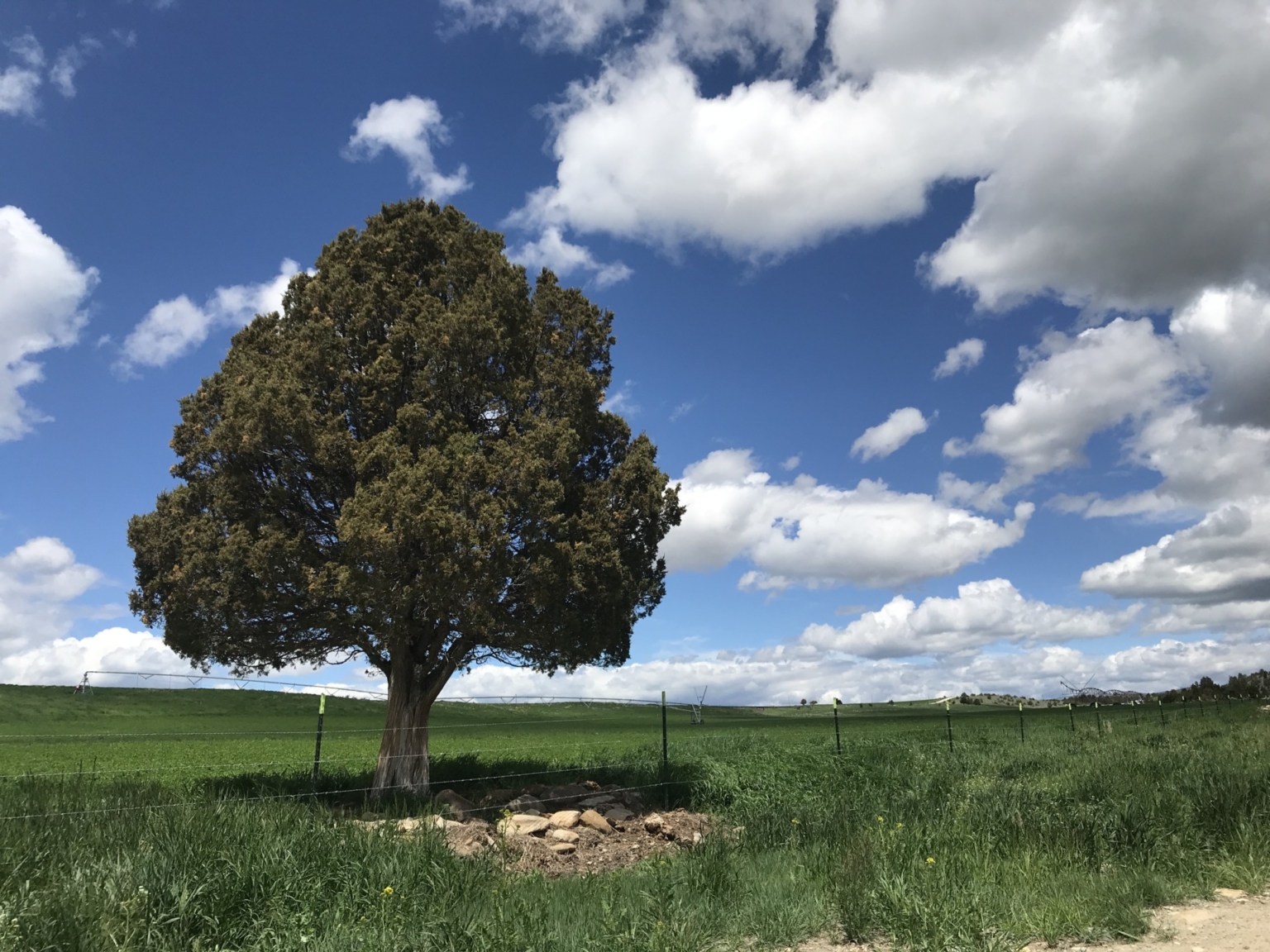 Schock Ranch on the North Fork Townsend Montana Fay Ranches