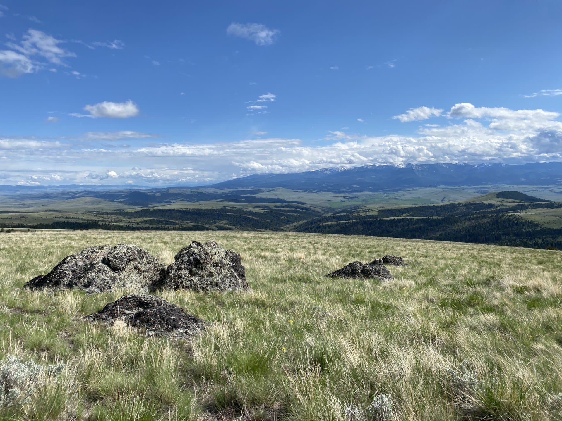 view boulder Carten Creek Ranch Montana