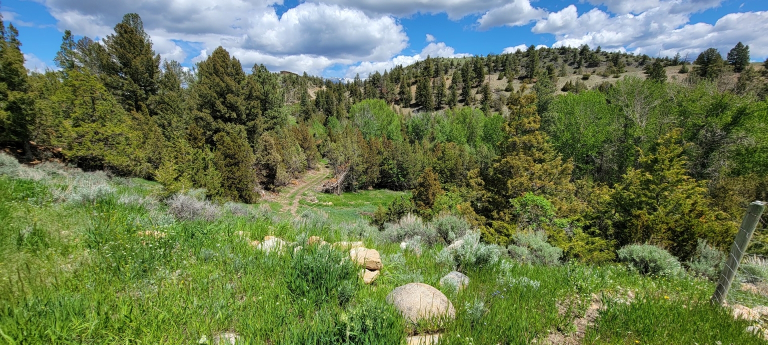 Schock Ranch on the North Fork Townsend Montana Fay Ranches