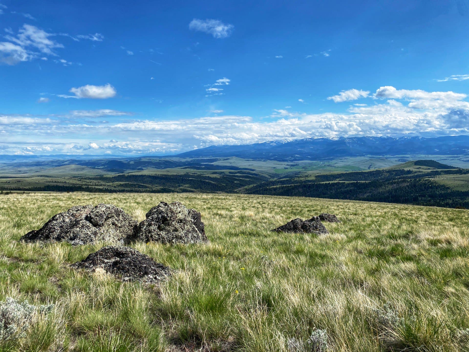 view with boulders carten creek ranch montana