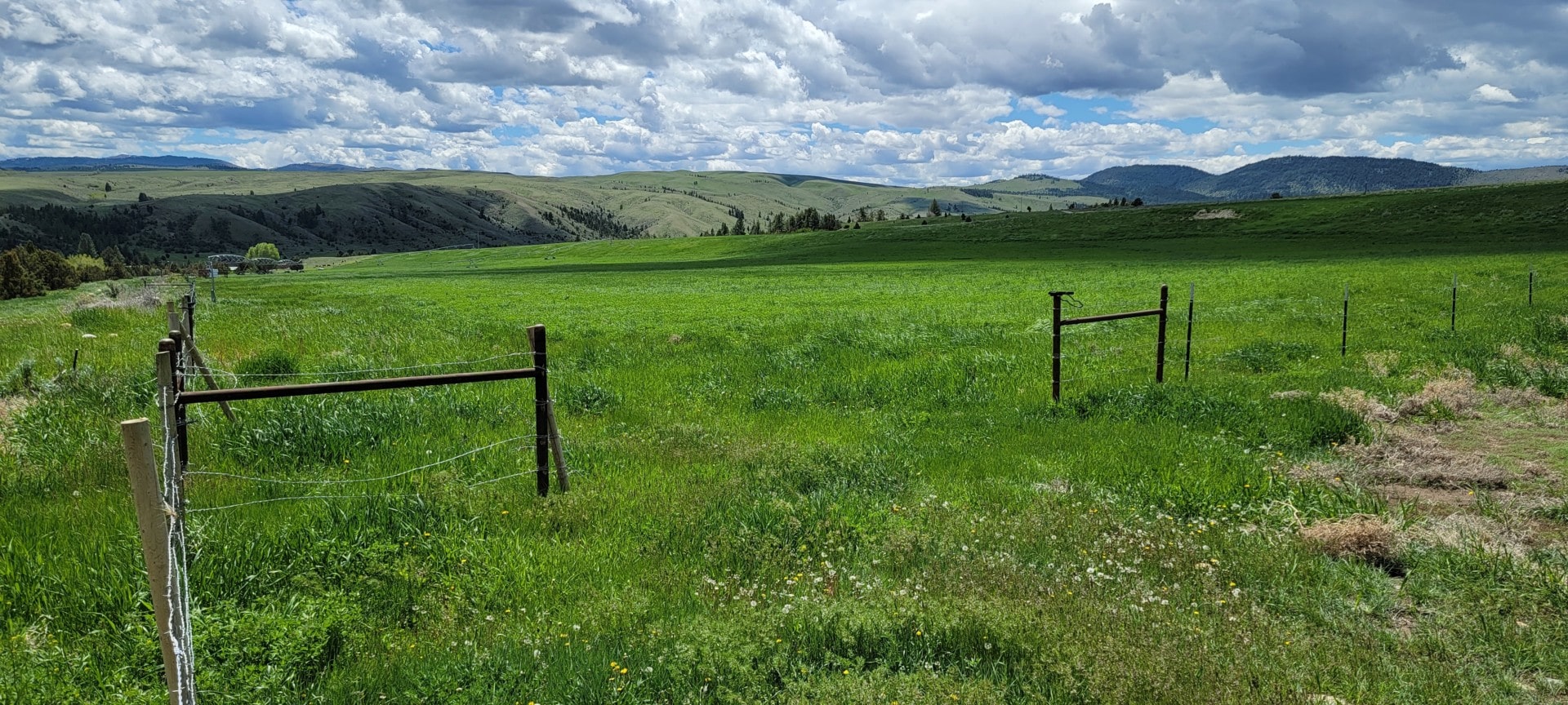 views Schock Ranch on the North Fork Montana