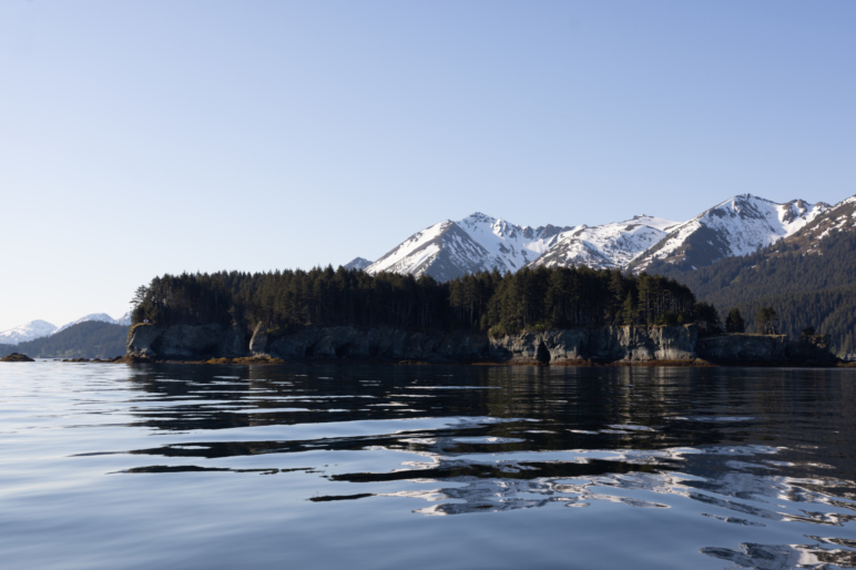 Passage Island and Coal Cove Seldovia Alaska Fay Ranches