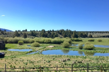 waterfowl hunting property for sale oregon pitcher ranch