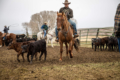 wyoming ranch agent near me
