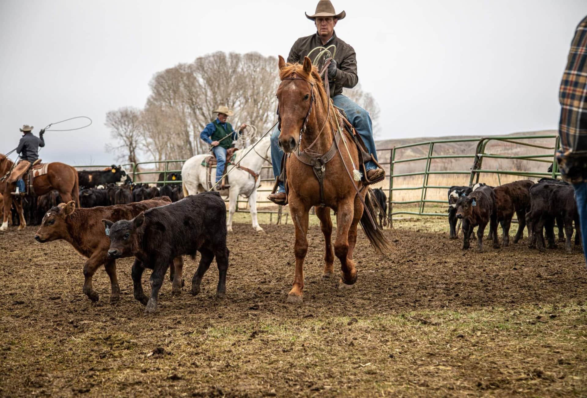 wyoming ranch agent near me